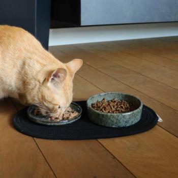 Preview: Napfunterlage Phil von D&D 35 x 20 cm